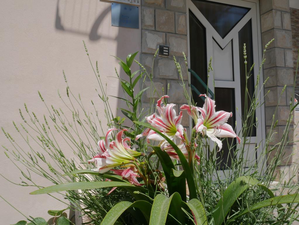 Guest House Almond Bečići Екстериор снимка